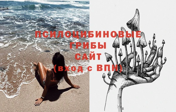 шишки Бронницы