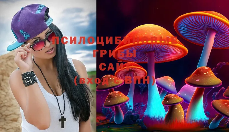 кракен как войти  Ангарск  Галлюциногенные грибы Psilocybe 